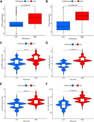 Comprehensive bioinformatic analysis constructs a CXCL model for predicting survival and immunotherapy effectiveness in ovarian cancer